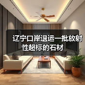 辽宁口岸退运一批放射性超标的石材（图4）