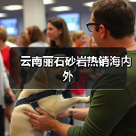 云南丽石砂岩热销海内外(图4) 云南丽石砂岩热销海内外(图4)